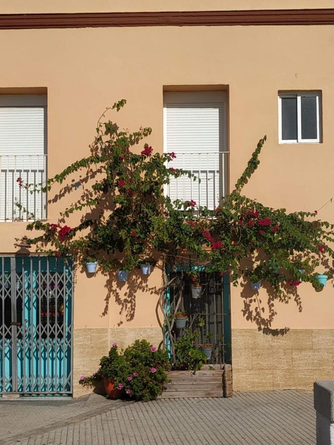 Apartamento Las Canastas Cadiz Centro 外观 照片